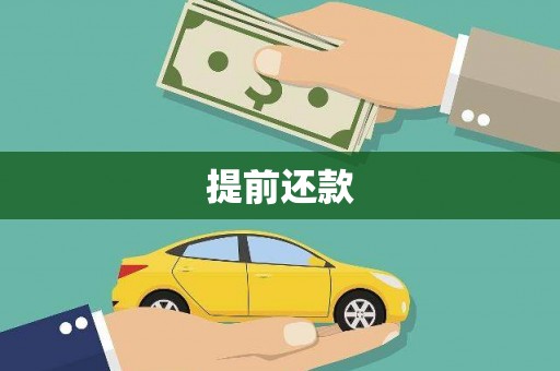 新华提前还款