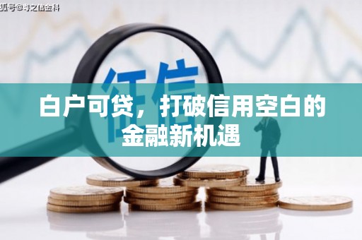 新华白户可贷，打破信用空白的金融新机遇