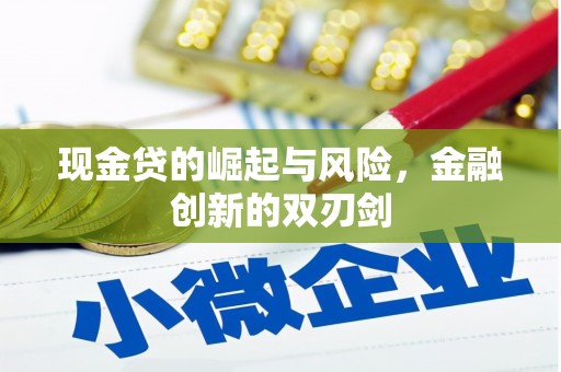新华现金贷的崛起与风险，金融创新的双刃剑