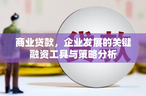 新华商业贷款，企业发展的关键融资工具与策略分析