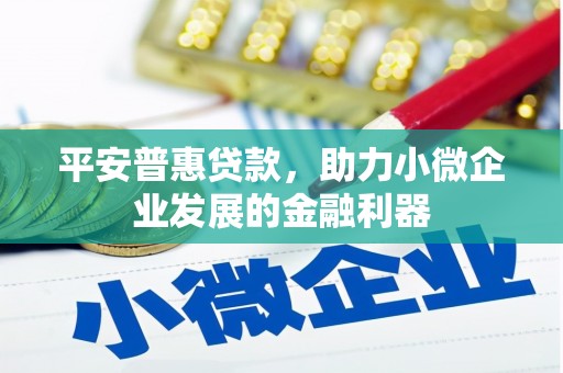 新华平安普惠贷款，助力小微企业发展的金融利器