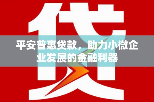 新华平安普惠贷款，助力小微企业发展的金融利器