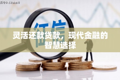 新华灵活还款贷款，现代金融的智慧选择