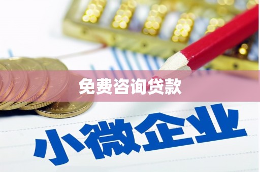 新华免费咨询贷款