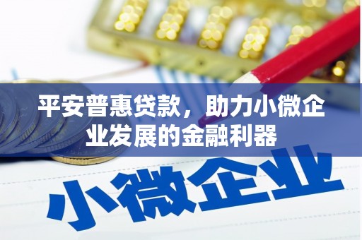 新华平安普惠贷款，助力小微企业发展的金融利器