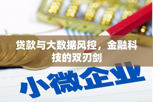 新华贷款与大数据风控，金融科技的双刃剑