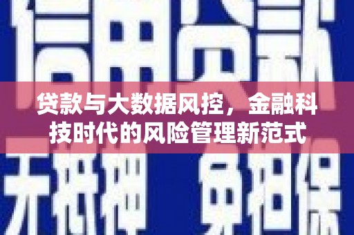 新华贷款与大数据风控，金融科技时代的风险管理新范式