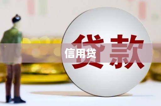 新华信用贷