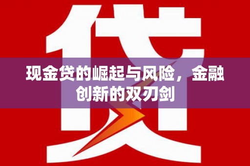 新华现金贷的崛起与风险，金融创新的双刃剑