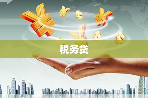 新华税务贷