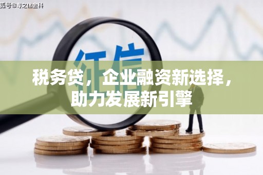 新华税务贷，企业融资新选择，助力发展新引擎