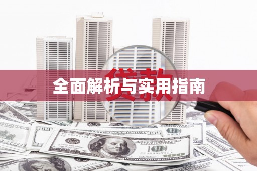 新华全面解析与实用指南