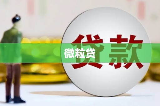 新华微粒贷