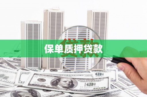 新华保单质押贷款