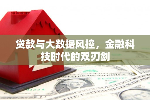 新华贷款与大数据风控，金融科技时代的双刃剑