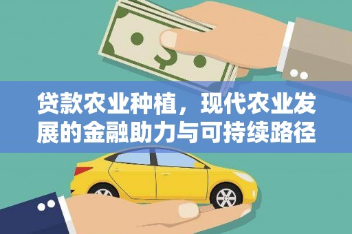 新华贷款农业种植，现代农业发展的金融助力与可持续路径