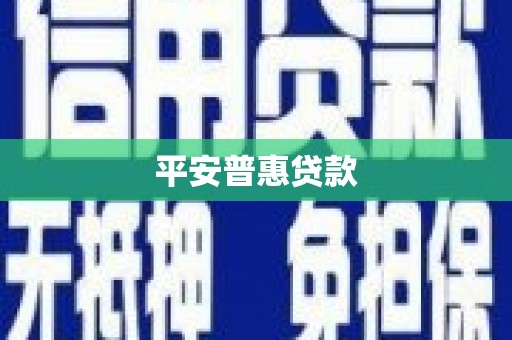 新华平安普惠贷款