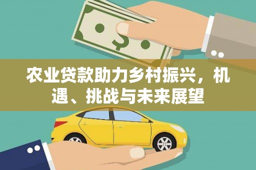 新华农业贷款助力乡村振兴，机遇、挑战与未来展望