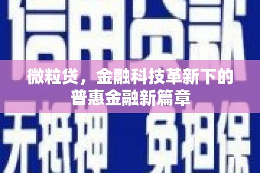 新华微粒贷，金融科技革新下的普惠金融新篇章