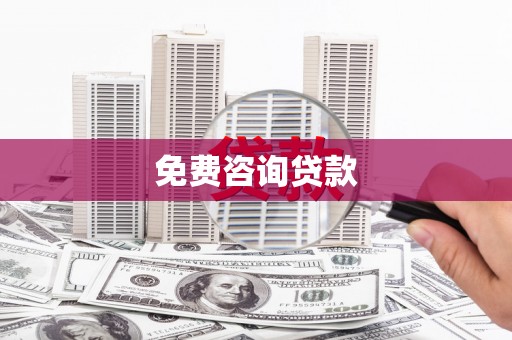 新华免费咨询贷款