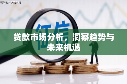 新华贷款市场分析，洞察趋势与未来机遇