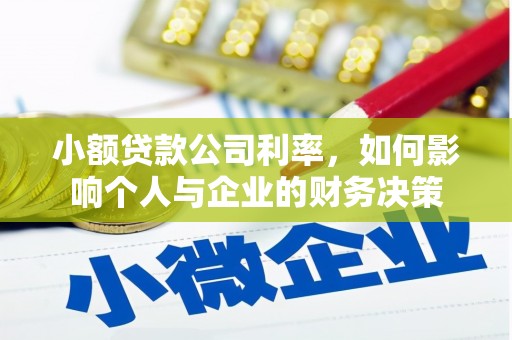 新华小额贷款公司利率，如何影响个人与企业的财务决策