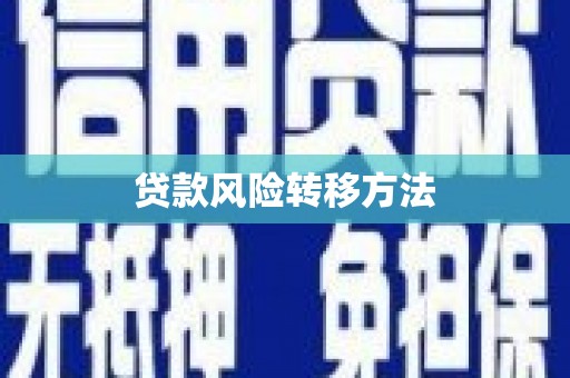 新华贷款风险转移方法