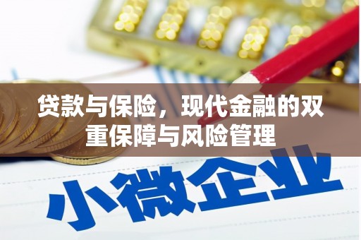 新华贷款与保险，现代金融的双重保障与风险管理