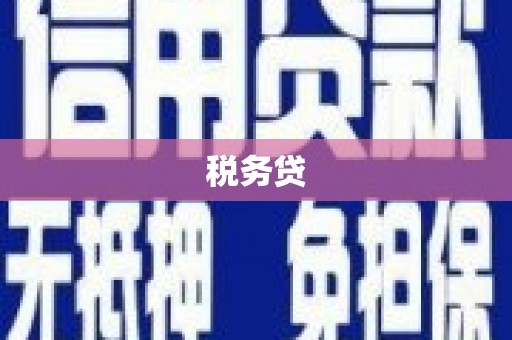 新华税务贷