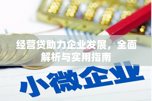 新华经营贷助力企业发展，全面解析与实用指南