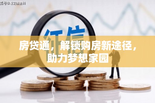 新华房贷通，解锁购房新途径，助力梦想家园