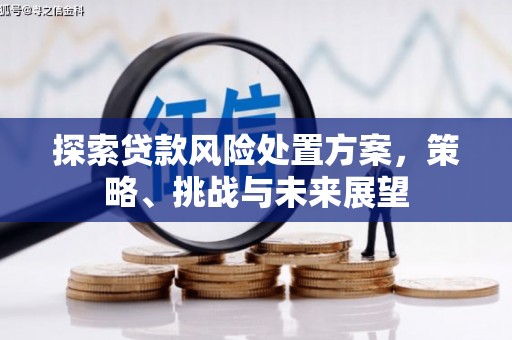 新华探索贷款风险处置方案，策略、挑战与未来展望