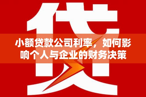 新华小额贷款公司利率，如何影响个人与企业的财务决策