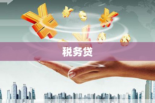 新华税务贷