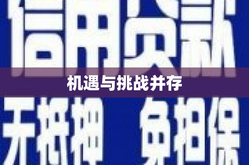 新华机遇与挑战并存