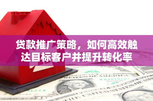 新华贷款推广策略，如何高效触达目标客户并提升转化率