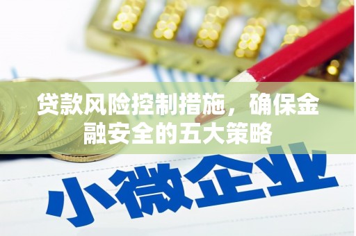 新华贷款风险控制措施，确保金融安全的五大策略