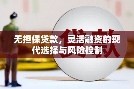 新华无担保贷款，灵活融资的现代选择与风险控制