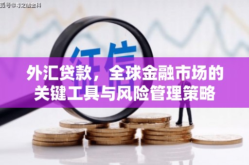 新华外汇贷款，全球金融市场的关键工具与风险管理策略