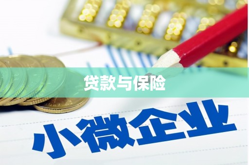 新华贷款与保险