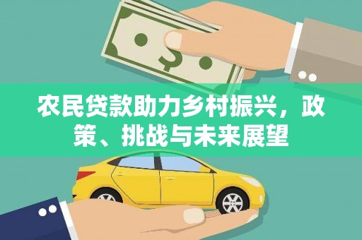新华农民贷款助力乡村振兴，政策、挑战与未来展望