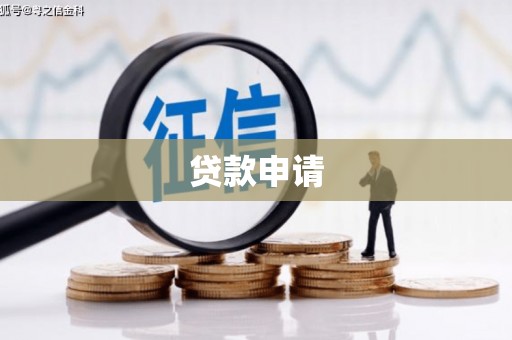 新华贷款申请
