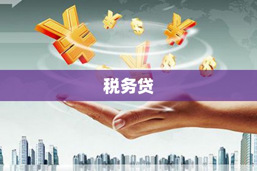 新华税务贷