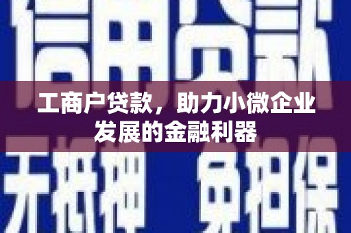 新华工商户贷款，助力小微企业发展的金融利器