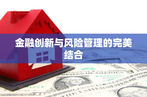 新华金融创新与风险管理的完美结合