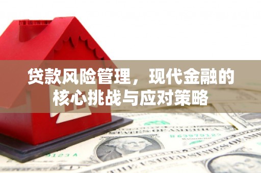 新华贷款风险管理，现代金融的核心挑战与应对策略