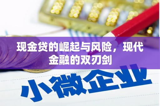 新华现金贷的崛起与风险，现代金融的双刃剑