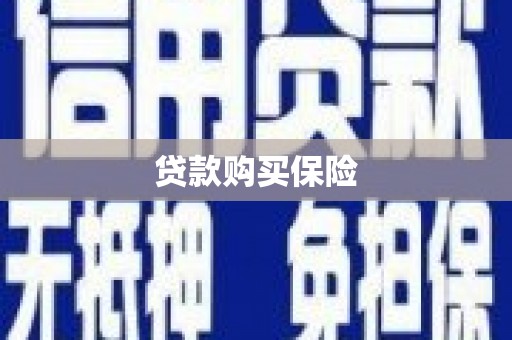 新华贷款购买保险