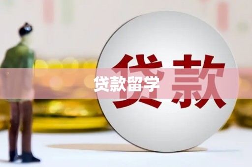 新华贷款留学