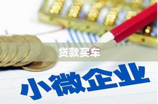 新华贷款买车